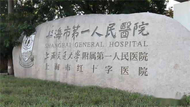 中企譽(yù)品銀湖灣官方發(fā)布 銀湖映境譽(yù)筑匠心 健康咨詢服務(wù)亮相